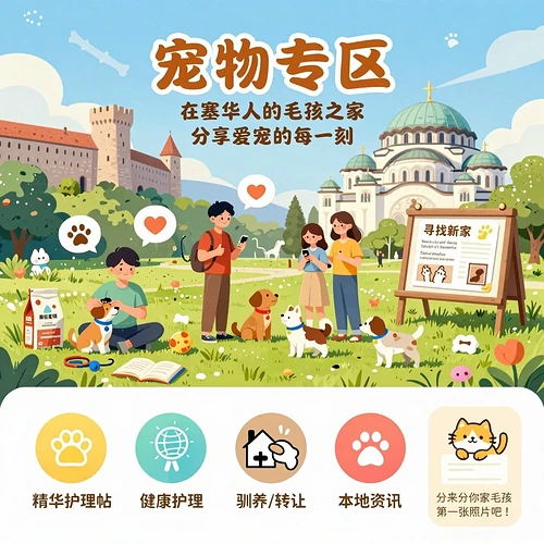 宠物专区